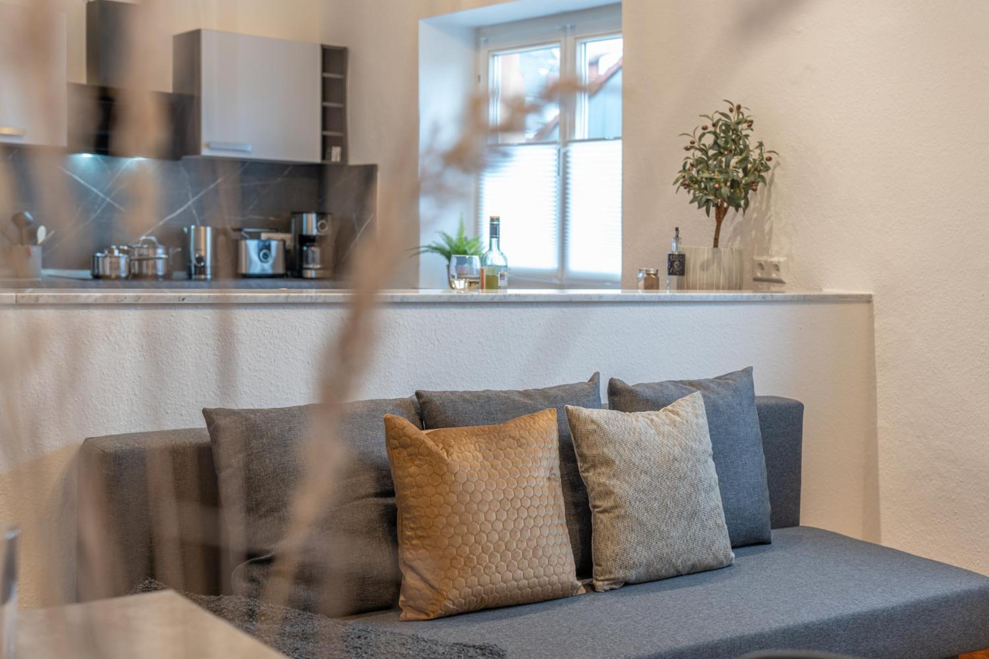 Apartment Regent Neu! Wlan-netflix-kueche- Altstadt-sbahn-dd, Elbufer Meissen