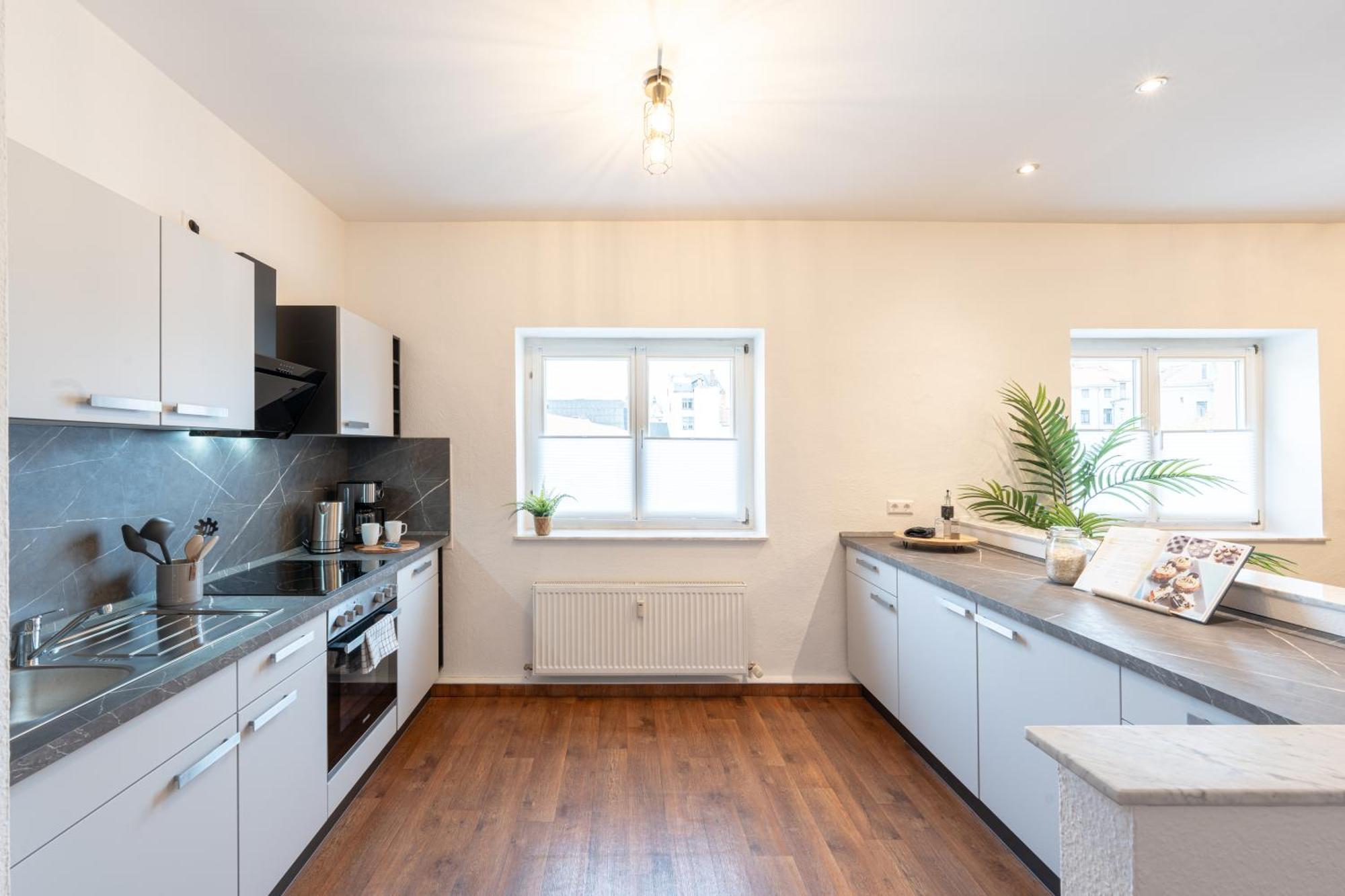 Apartment Regent Neu! Wlan-netflix-kueche- Altstadt-sbahn-dd, Elbufer *